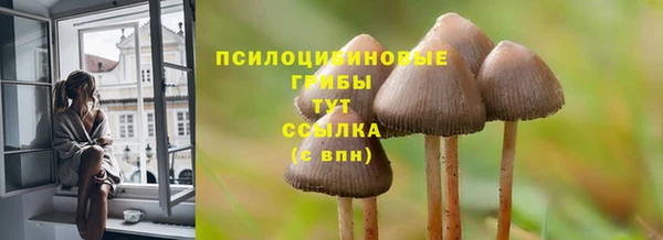 ALPHA-PVP Рославль
