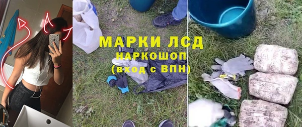 индика Лагань