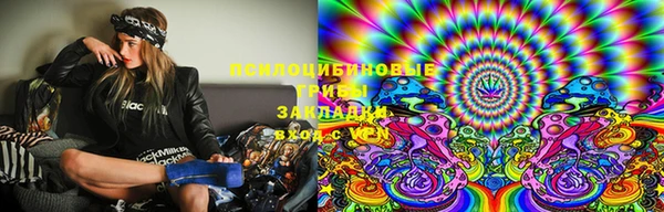 прущий лед Ладушкин