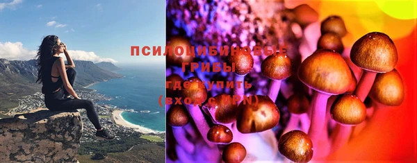 jwh Лиски